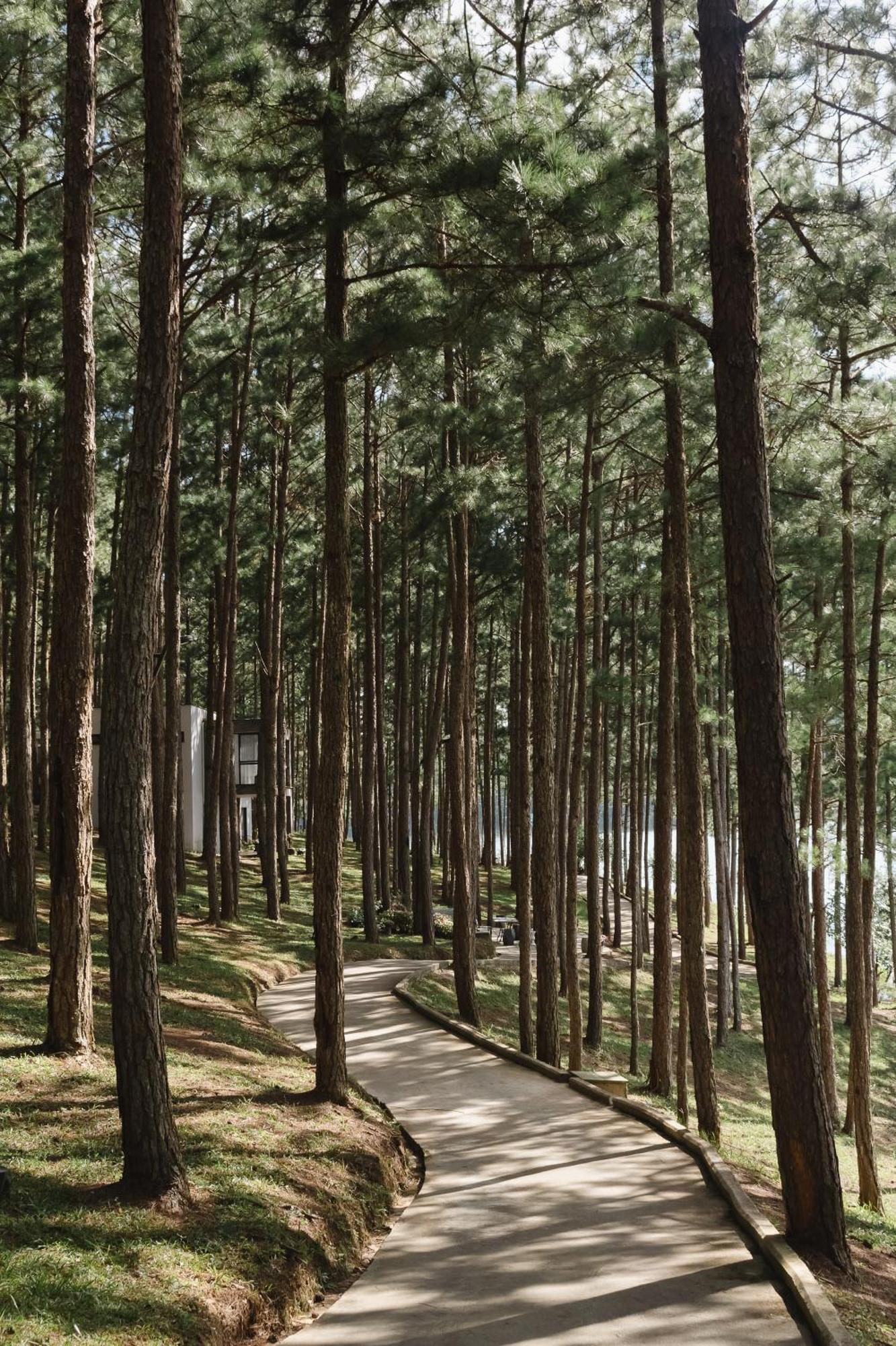 Terracotta Hotel & Resort Dalat Exterior foto